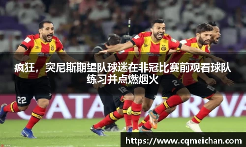 疯狂，突尼斯期望队球迷在非冠比赛前观看球队练习并点燃烟火